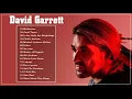 Lagu David Garrett Best Songs - David Garrett Greatest Hits Full Album 2020| Best Instrumental Music 2020