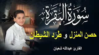 سورة البقرة كاملة لحفظ المنزل و رقية من السحر وجلب البركة القارئ عبدالله شعبان Surah Baqara  سورة البقرة كاملة لحفظ المنزل و رقية من السحر وجلب البركة القارئ عبدالله شعبان Surah Baqara