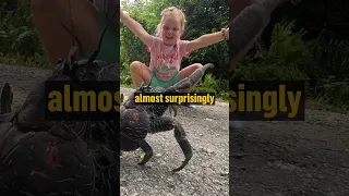 Landing on “The Rock”