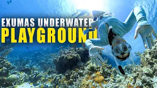 Swimming with Sharks in the Bahamas! | Sailing Sunday vlog 248