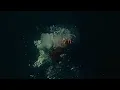 Wisp - Your face (Official Music Video)