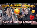 Download Lagu Cinta Monyet