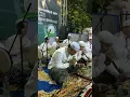 Download Lagu qosidah-shollu ala nuri ahmad #banjari #sholawatnabi #qosidah #maulid #hadrohsholawat
