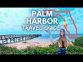 Pies Pigs and Parks Why YOU NEED to Visit Palm Harbor FL