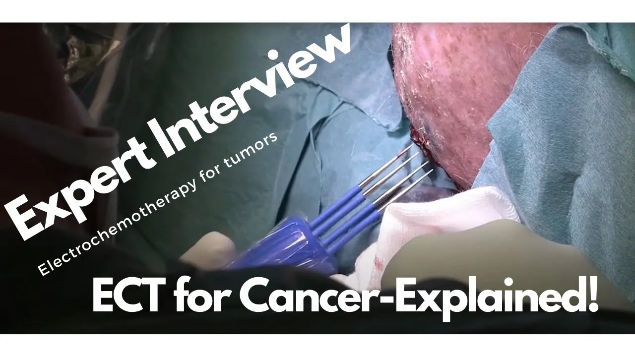 Electrochemotherapy, What is it?