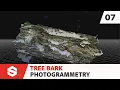 Tree Bark - Photogrammetry Substance 3D