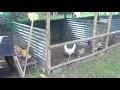 Simple breeding pen