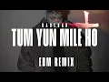 The Way You Met Me | Reet Talwar, Badshah | EDM Remix #edm #song #exclusive