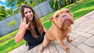 TROUXE A CACHORRINHA DO MEU IRMÃO PRA CASA! *MONALISA*