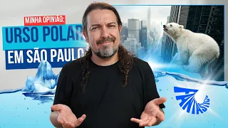 Urso polar em SP: minha opinião sobre a matéria do Fantástico sobre o nascimento da filhote Nur