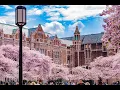 UW Gmail G Suite Overview
