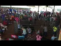 2024 Meigs County Fair Livestock Sale Feeders and Turkeys