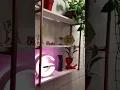 Vídeo do produto