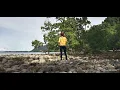 Download Lagu Kau Yang Ku Sayang _ Pance F Pondaag
