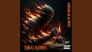 mega is a pro