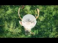 starRo - My Oh My feat  Jesse Boykins III