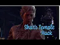 Shar s Temple Self-Same Trial Hack BG3