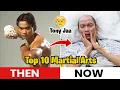 Download Lagu Top 10 Kung Fu \u0026 Martial Arts Stars ★ Then \u0026 Now 2025