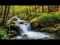 Download Lagu Beautiful Relaxing Sleep Music 🌿 Soothing Sounds to Calm Nerves \u0026 Uplift the Soul | Flowrest Piano