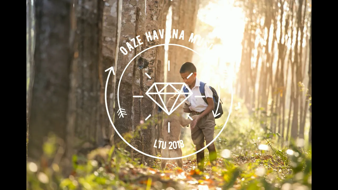 D.S.F - If She Knew (Des Saints Summer Edit)