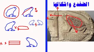 Frog Signal Solutions And Info 