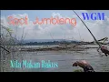 Download Lagu Spot Jumbleng, Spot Ke-2 Ikan Makan Rakus #fishing #mancingnyobokwgmterbaru