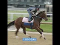 Check out your 2022 Kentucky Oaks horses
