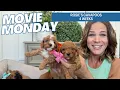 Rosie s Cavapoo Puppies weeks