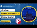 picoGym picoCTF Exercise buffer overflow 3
