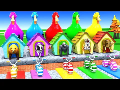 Video Thumbnail: Long Slide Game with Cow Elephant Gorilla Hippopotamus Tiger 3d Animal Game Funny 3d Animals