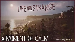 Relax To 10 Minutes Of The Life Is Strange Main Menu 