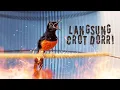 Download Lagu MURAI BATU KONSLET bongkar isian DONGKRAK EMOSI bikin GACOR sepanjang hari