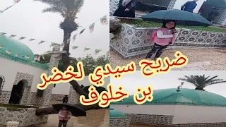 تحويسة في ضريح الوالي الصالح سيدي لخضر بن خلوف بلدية سيدي لخضر ولاية مستغانم أغرب نخلة في العالم 