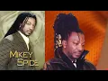 Mikey spice Best of Reggae lovers rock  culture mix DJ MURRAY 18768557770