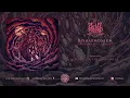 Blut Aus Nord - Disharmonium - Undreamable Abysses (Full Album)