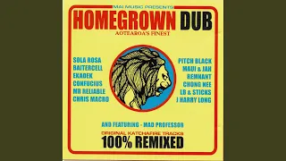 Download Collie Herb Man MP3