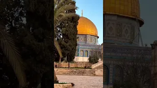 المسجد الأسير 