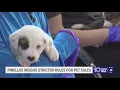 Pinellas County weighs stricter rules for pet sales
