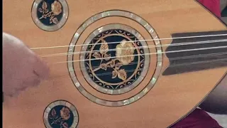 عمي يابياع الورد عود 