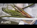 Mangrove Propagule Collection Campaign 2023