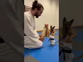 Lagu Dad Cat Brings His Kitten to KARATE CLASS — With Uncle Shepherd 😂🥋