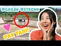 Download Lagu 5 Menit Video Pak Tani Membajak Sawah