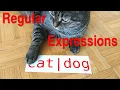 Regular Expression Alternation