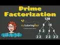 Prime Factorization with Factor Trees