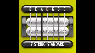 Perfect Guitar Tuner 7 String Standard B E A D G B E