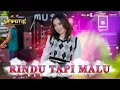 Download Lagu Rindu Tapi Malu  - Rena Movies  - Simpatik Music (Official Live Music)