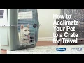 How to Acclimate Your Pet to a Crate for Travel