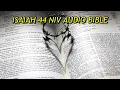 ISAIAH 44 NIV BIBLE with text