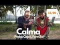 Pedro Capó, Farruko - Calma - (Lyrics / Letra English \u0026 Spanish) Translation \u0026 Meaning