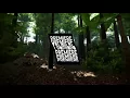 Hidden Spheres - Sapodilla